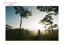 Kinh nghiệm chụp hình cưới đà lạt đẹp “không góc chết” Chụp hình cưới ở đà lạt