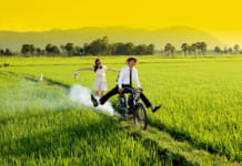 Những địa điểm chụp ảnh cưới đẹp ở miền Tây năm 2019 mà bạn cần biết địa chỉ chụp ảnh cưới đẹp ở miền tây