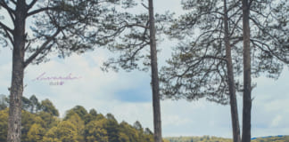 Gợi ý địa điểm chụp hình cưới Đà Lạt đẹp lung linh Địa điểm chụp hình cưới Đà Lạt