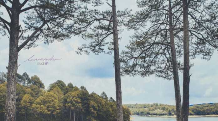 Gợi ý địa điểm chụp hình cưới Đà Lạt đẹp lung linh Địa điểm chụp hình cưới Đà Lạt