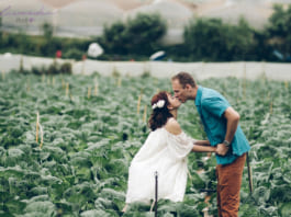 Du lịch kết hợp chụp ảnh cưới Đà Lạt – ý tưởng tuyệt vời cho các cặp đôi du lịch kết hợp chụp ảnh cưới Đà Lạt
