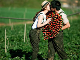 5 nơi chụp hình cưới Đà Lạt đẹp cho các cặp đôi Chụp hình cưới Đà Lạt đẹp