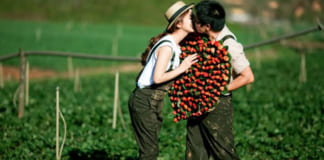 5 nơi chụp hình cưới Đà Lạt đẹp cho các cặp đôi Chụp hình cưới Đà Lạt đẹp