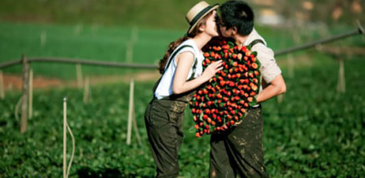 5 nơi chụp hình cưới Đà Lạt đẹp cho các cặp đôi Chụp hình cưới Đà Lạt đẹp