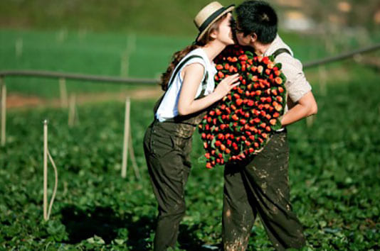 5 nơi chụp hình cưới Đà Lạt đẹp cho các cặp đôi Chụp hình cưới Đà Lạt đẹp