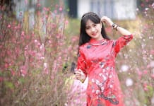 “Săn lùng” các địa điểm chụp hình Tết tuyệt đẹp ở Hà Nội Địa điểm chụp hình Tết lung linh