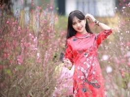 “Săn lùng” các địa điểm chụp hình Tết tuyệt đẹp ở Hà Nội Địa điểm chụp hình Tết lung linh