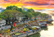 Những lý do chụp hình Tết các bạn nên tham khảo năm mới