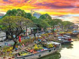 Những lý do chụp hình Tết các bạn nên tham khảo năm mới