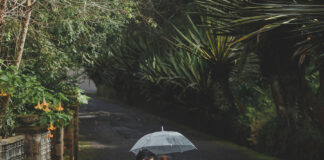 Top 10 địa điểm chụp ngoại cảnh đẹp ở tphcm dia-diem-chup-ngoai-canh-dep-o-tphcm