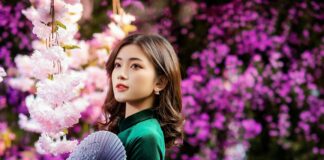 Chụp hình cá nhân Tết: Tỏa sáng với những bức ảnh ấn tượng Chụp hình cá nhân Tết Tỏa sáng với những bức ảnh ấn tượng