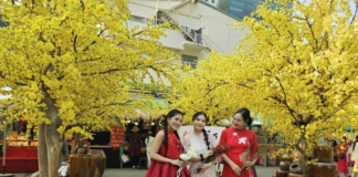 10 dịch vụ chụp hình tết năm 2025 giá rẻ tại TP.HCM cực “hot” 10 dịch vụ chụp hình tết năm 2025 giá rẻ tại TP.HCM cực "hot"