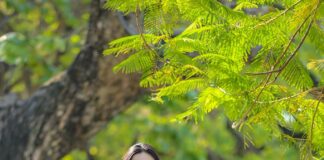 Dáng chụp ảnh áo dài ấn tượng bạn không nên bỏ qua Dáng chụp ảnh áo dài ấn tượng bạn không nên bỏ qua