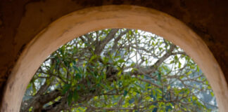 Tìm kiếm studio chụp ảnh áo dài 2/9 tại Huế dịp quốc khánh kỷ niệm 80 năm