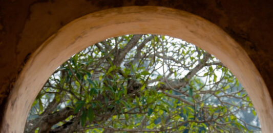 Tìm kiếm studio chụp ảnh áo dài 2/9 tại Huế dịp quốc khánh kỷ niệm 80 năm