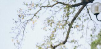 Chụp ảnh cưới tại hồ Gươm Hà Nội có điểm gì thú vị? Cập nhật 10/2025 Chụp ảnh cưới tại hồ Gươm Hà Nội có điểm gì thú vị? Cập nhật 10/2025