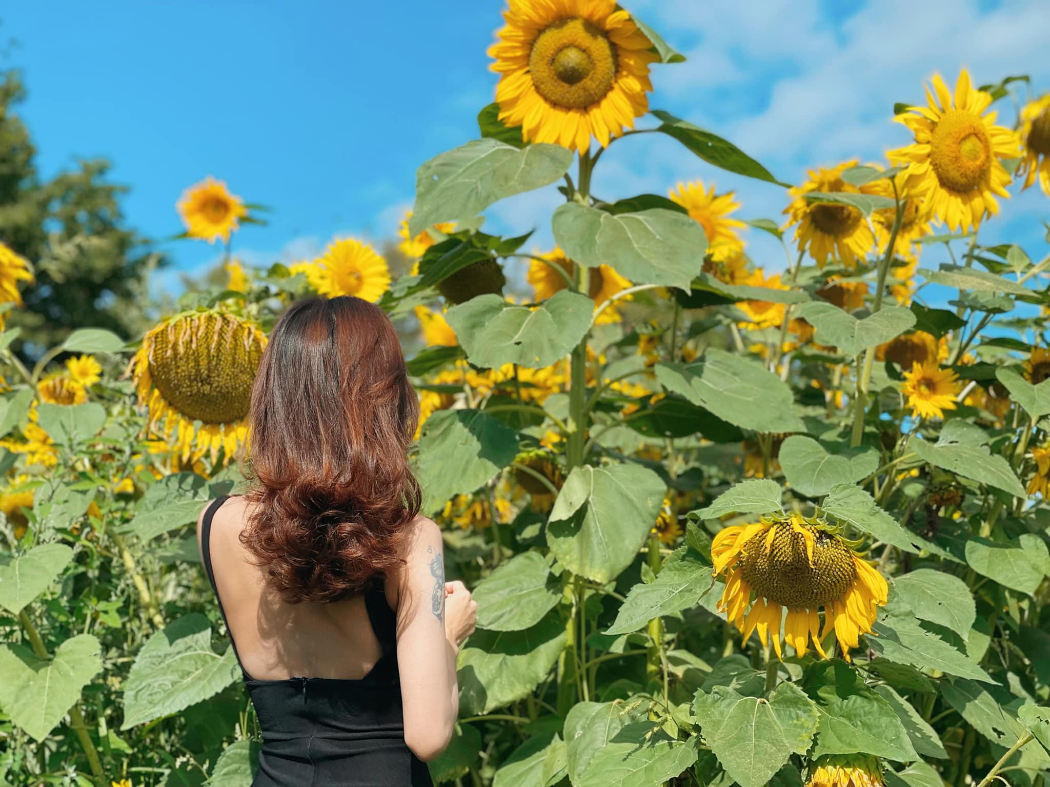 Dịch vụ chỉnh sửa ảnh online cần lưu ý những vấn đề gì?