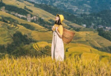 Dịch vụ chỉnh sửa ảnh online cần lưu ý những vấn đề gì? Dịch vụ chỉnh sửa ảnh online cần lưu ý những vấn đề gì?