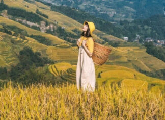 Dịch vụ chỉnh sửa ảnh online cần lưu ý những vấn đề gì? Dịch vụ chỉnh sửa ảnh online cần lưu ý những vấn đề gì?