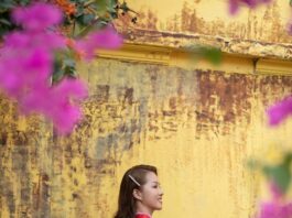 Dịch vụ chụp ảnh Tết 2026 – Giải pháp lưu giữ kỷ niệm xuân trọn vẹn Dịch vụ chụp ảnh Tết 2026 – Giải pháp lưu giữ kỷ niệm xuân trọn vẹn