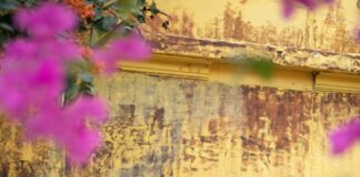 Dịch vụ chụp ảnh Tết 2026 – Giải pháp lưu giữ kỷ niệm xuân trọn vẹn Dịch vụ chụp ảnh Tết 2026 – Giải pháp lưu giữ kỷ niệm xuân trọn vẹn