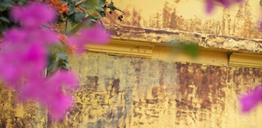 Dịch vụ chụp ảnh Tết 2026 – Giải pháp lưu giữ kỷ niệm xuân trọn vẹn Dịch vụ chụp ảnh Tết 2026 – Giải pháp lưu giữ kỷ niệm xuân trọn vẹn