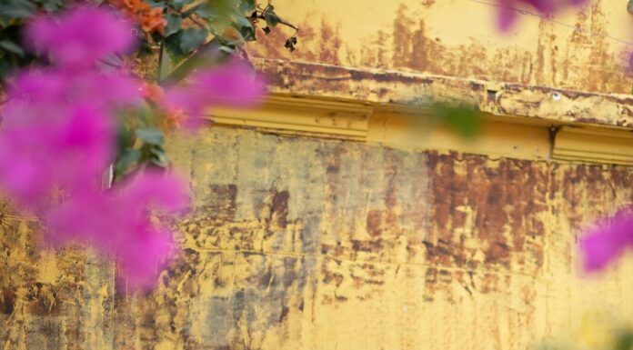 Dịch vụ chụp ảnh Tết 2026 – Giải pháp lưu giữ kỷ niệm xuân trọn vẹn Dịch vụ chụp ảnh Tết 2026 – Giải pháp lưu giữ kỷ niệm xuân trọn vẹn