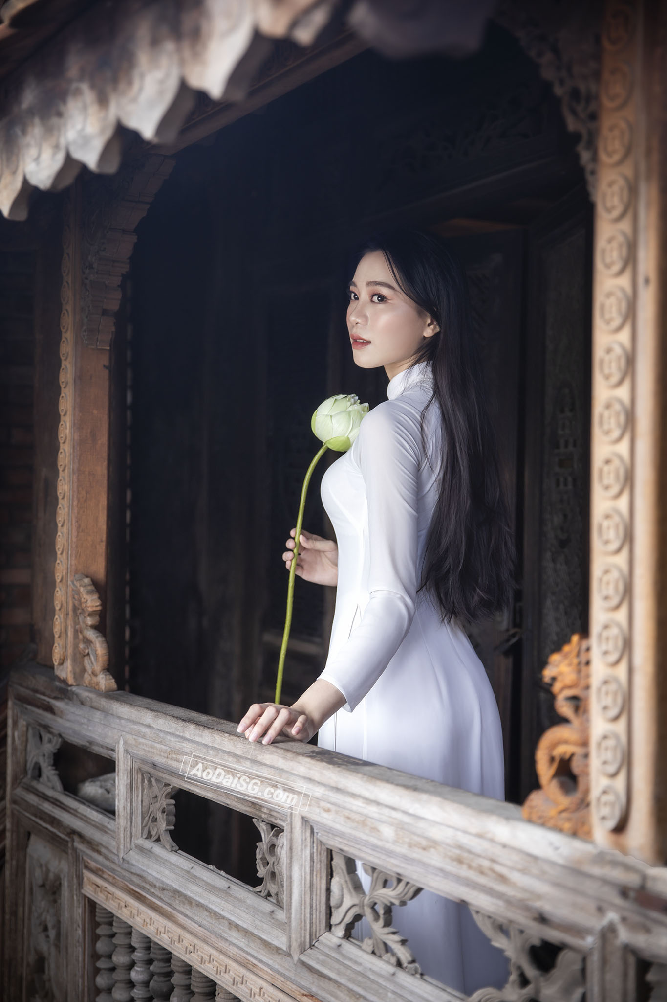 Những địa điểm chụp ảnh Tết 2026 miễn phí tại Hội An: Khám phá vẻ đẹp lôi cuốn