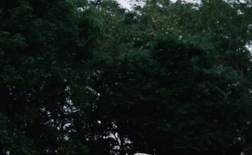 Xu Hướng Chụp Ảnh Cưới Ngoại Cảnh 2026 Đẹp Lãng Mạn