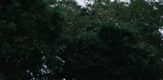 Xu Hướng Chụp Ảnh Cưới Ngoại Cảnh 2026 Đẹp Lãng Mạn