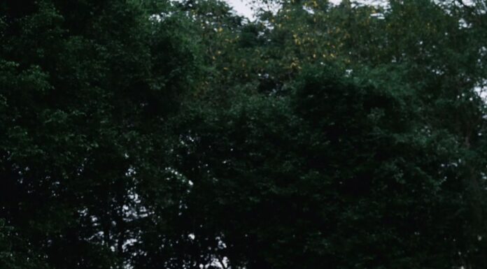 Xu Hướng Chụp Ảnh Cưới Ngoại Cảnh 2026 Đẹp Lãng Mạn