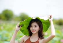 Concept chụp hình nghệ thuật hè 2026 sang trọng ở Sài Gòn Concept chụp hình nghệ thuật hè 2026 sang trọng ở Sài Gòn