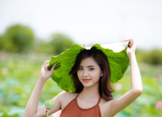 Concept chụp hình nghệ thuật hè 2026 sang trọng ở Sài Gòn Concept chụp hình nghệ thuật hè 2026 sang trọng ở Sài Gòn