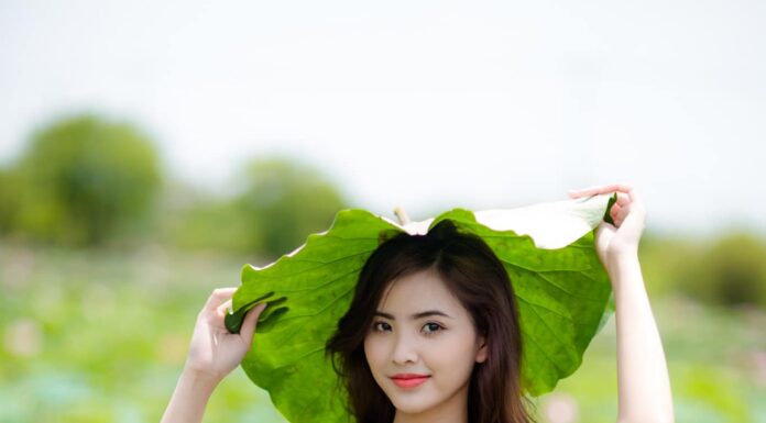 Concept chụp hình nghệ thuật hè 2026 sang trọng ở Sài Gòn Concept chụp hình nghệ thuật hè 2026 sang trọng ở Sài Gòn